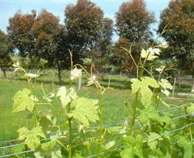 Pomborneit East VIC Accommodation Coffs Harbour