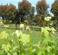 Barwon Ridge Wines - Accommodation Coffs Harbour