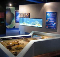 Marine and Freshwater Discovery Centre - Accommodation Coffs Harbour