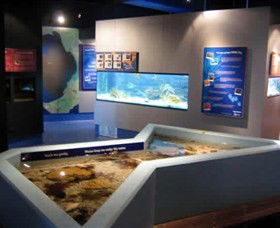 Marine And Freshwater Discovery Centre - Accommodation Coffs Harbour 0