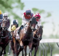 Colac Turf Club - Accommodation Coffs Harbour