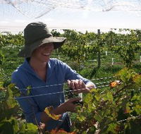 Kingsdale Wines - Accommodation Coffs Harbour