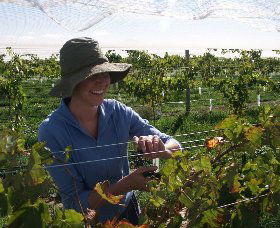 Kingsdale Wines - Accommodation Coffs Harbour 0