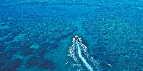 Ocean Free & Ocean Freedom - Cairns Premier Reef And Island Tours - Accommodation Coffs Harbour 4