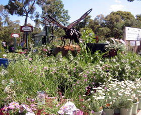 Zanthorrea Nursery - Accommodation Coffs Harbour 0