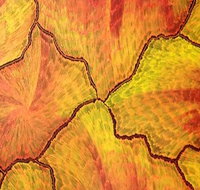 Red Desert Dreamings - Accommodation Coffs Harbour