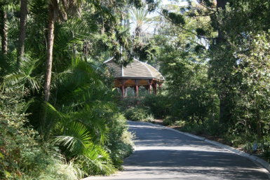 Royal Botanic Gardens Victoria - Accommodation Coffs Harbour 0