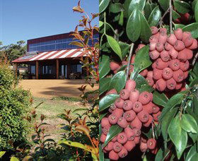 Bushfood Factory And Cafe - Accommodation Coffs Harbour 0