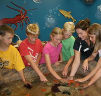 Naturaliste Marine Discovery Centre - Accommodation Coffs Harbour