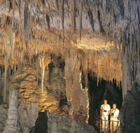 Mammoth Cave - Accommodation Coffs Harbour