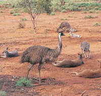 Hammond Park - Accommodation Coffs Harbour