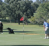 Spalding Park - Accommodation Coffs Harbour