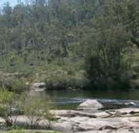 Wellington Discovery Forest - Accommodation Coffs Harbour