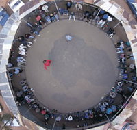 Two-Up School - Accommodation Coffs Harbour