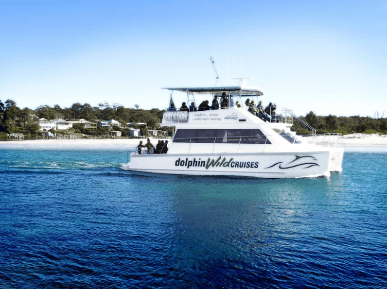 Dolphin Wild Cruises - Accommodation Coffs Harbour 1