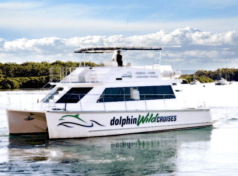 Dolphin Wild Cruises - Accommodation Coffs Harbour 2