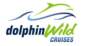 Dolphin Wild Cruises - thumb 4