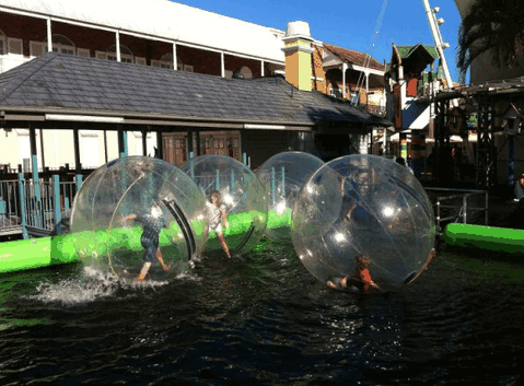 Aussie Waterballs - Accommodation Coffs Harbour 0