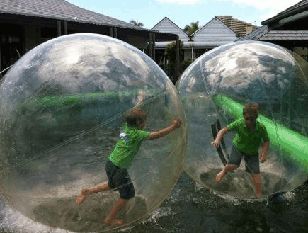 Aussie Waterballs - Accommodation Coffs Harbour 1