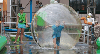Aussie Waterballs - Accommodation Coffs Harbour 4