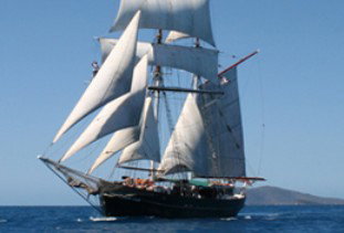 Australian Tallship Cruises - Accommodation Coffs Harbour 0