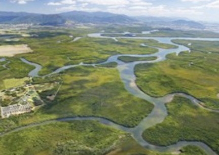 Cairns Harbour Cruises - Accommodation Coffs Harbour 2