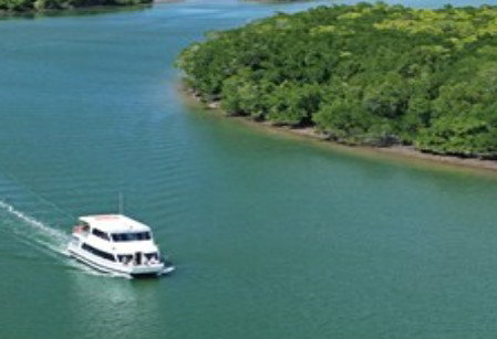 Cairns Harbour Cruises - Accommodation Coffs Harbour 3