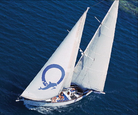 Ocean Free & Ocean Freedom - Cairns Premier Reef And Island Tours - Accommodation Coffs Harbour 0