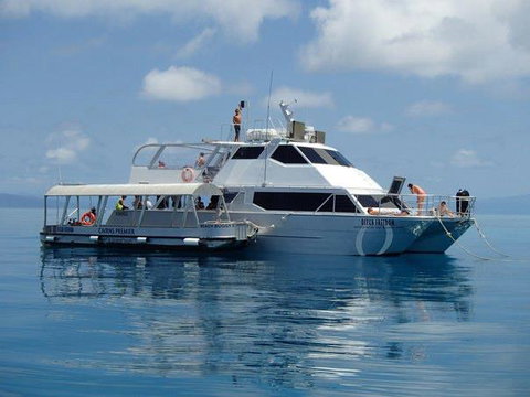 Ocean Free & Ocean Freedom - Cairns Premier Reef And Island Tours - Accommodation Coffs Harbour 1