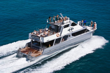 Ocean Free & Ocean Freedom - Cairns Premier Reef And Island Tours - Accommodation Coffs Harbour 2