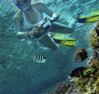 Calypso Reef Charters - Accommodation Coffs Harbour
