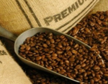 Coffee Works - Accommodation Coffs Harbour 1