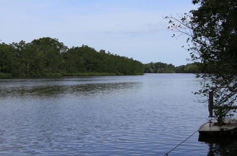 Daintree River Cruise Centre - Accommodation Coffs Harbour 2