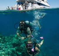 Down Under Cruise and Dive - Accommodation Coffs Harbour