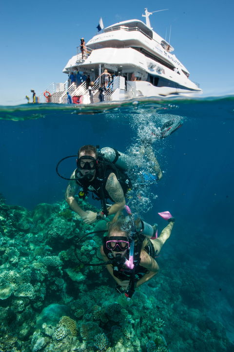Down Under Cruise And Dive - Accommodation Coffs Harbour 0