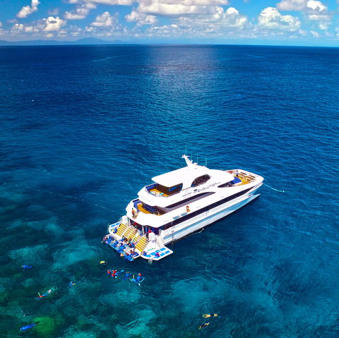 Down Under Cruise And Dive - Accommodation Coffs Harbour 1
