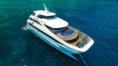 Down Under Cruise And Dive - Accommodation Coffs Harbour 2