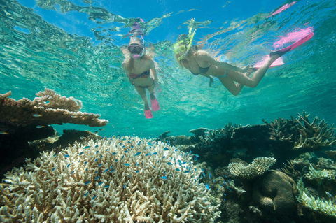 Down Under Cruise And Dive - Accommodation Coffs Harbour 4
