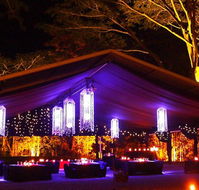 Flames Of The Forest - Accommodation Coffs Harbour