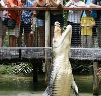 Hartley's Crocodile Adventures - Accommodation Coffs Harbour