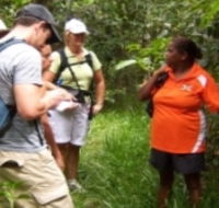 Ingan Tours - Spirit of the Rainforest Tour - Accommodation Coffs Harbour