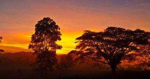 Ingan Tours - Spirit Of The Rainforest Tour - Accommodation Coffs Harbour 3