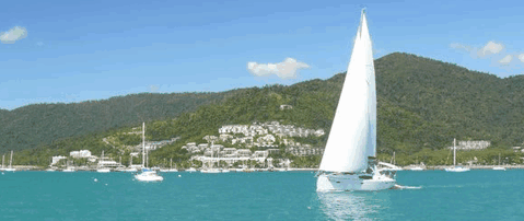 Abel Point Marina - Accommodation Coffs Harbour 2