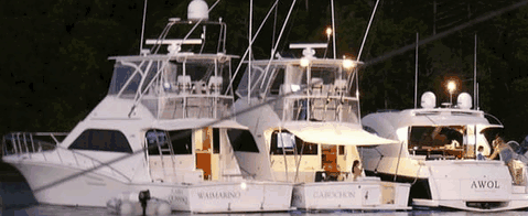 Abel Point Marina - Accommodation Coffs Harbour 3