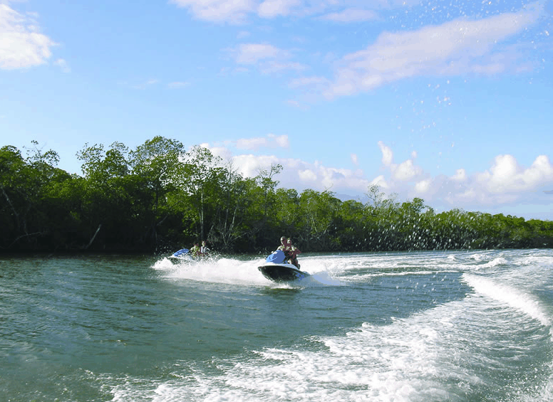 Eco Jet Safari - Accommodation Coffs Harbour 4