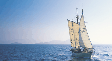 Tallship Adventures - Accommodation Coffs Harbour