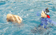 Queensland Yacht Charters - thumb 2