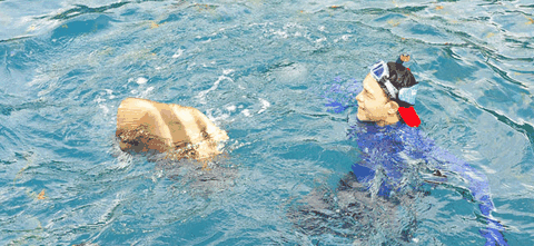 Queensland Yacht Charters - Accommodation Coffs Harbour 2