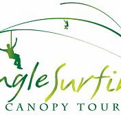Jungle Surfing Canopy Tours and Jungle Adventures Nightwalks - Accommodation Coffs Harbour