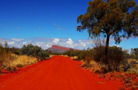 Pandanus Aboriginal Art Gallery - Accommodation Coffs Harbour 1